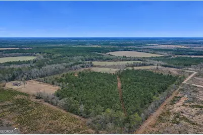 Tract 4 Reddish Road, Odum, GA 31555 - Photo 1
