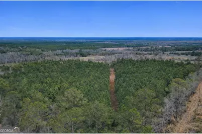 Tract 4 Reddish Road, Odum, GA 31555 - Photo 3