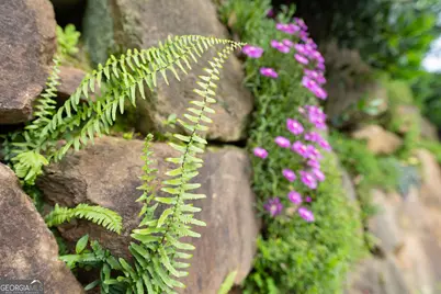 295 Goble Gap Road, Clayton, GA 30525 - Photo 43