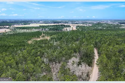Tract 1 Wheaton Road, Odum, GA 31555 - Photo 3