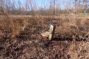 987 Garrison Rd, Cornelia, GA 30531 - Photo 29