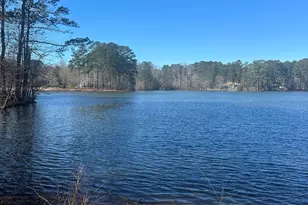 28 Border Point, Sharpsburg, GA 30277 - Photo 67