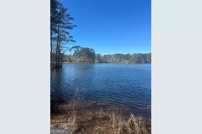 28 Border Point, Sharpsburg, GA 30277 - Photo 59