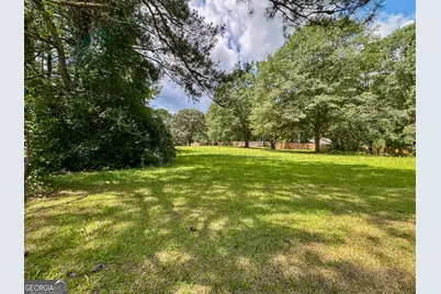 0 Howard Road, Senoia, GA 30276 - Photo 37