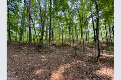 0 Howard Road, Senoia, GA 30276 - Photo 9