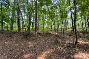 0 Howard Rd, Senoia, GA 30276 - Photo 9