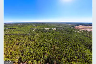10.55 Acres McDonald Road N, Waycross, GA 31503 - Photo 7