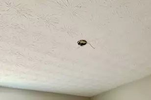 6460 Connell Rd, Atlanta, GA 30349 - Photo 17