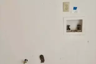 6460 Connell Rd, Atlanta, GA 30349 - Photo 19