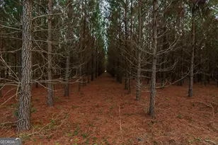 307 Chester Thomas Rd, Springfield, GA 31329 - Photo 51