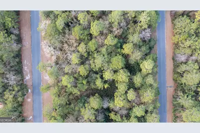 V/L 191 Sunrise Dr, Woodbine, GA 31569 - Photo 7