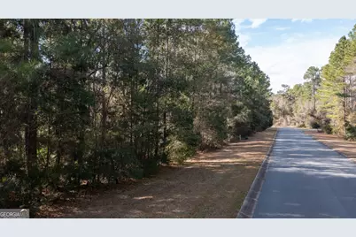 V/L 191 Sunrise Dr, Woodbine, GA 31569 - Photo 9