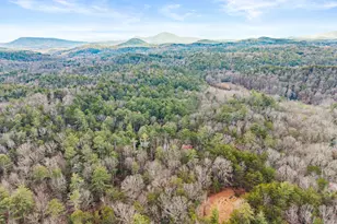 3 Ramblewood Dr, Sautee Nacoochee, GA 30571 - Photo 41
