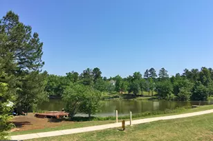 113 Waterlace Way, Fayetteville, GA 30215 - Photo 117