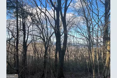 0 Daybreak Road, Cleveland, GA 30528 - Photo 7