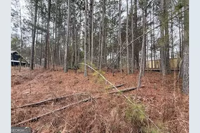 266 Old Yorkville Road, Dallas, GA 30157 - Photo 5