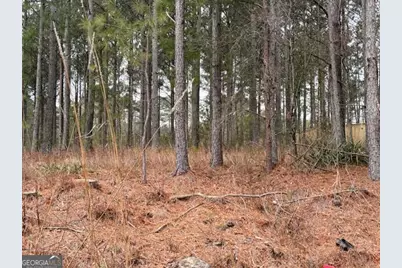 266 Old Yorkville Road, Dallas, GA 30157 - Photo 1