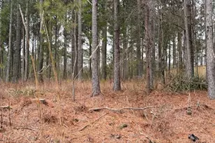 266 Old Yorkville Rd, Dallas, GA 30157 - Photo 1