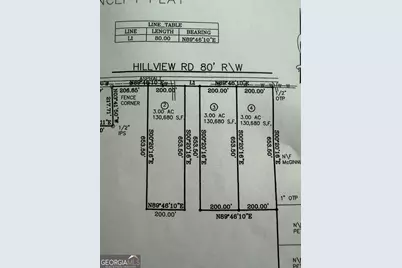 600 Hillview Road #TRACT 4, Hampton, GA 30228 - Photo 1