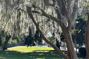 204 E Liberty St, Savannah, GA 31401 - Photo 61