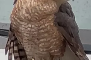 204 E Liberty St, Savannah, GA 31401 - Photo 65