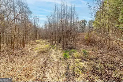 170 Mackey Road, McDonough, GA 30252 - Photo 13