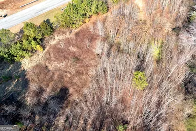 170 Mackey Road, McDonough, GA 30252 - Photo 9