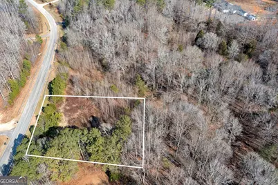 170 Mackey Road, McDonough, GA 30252 - Photo 3