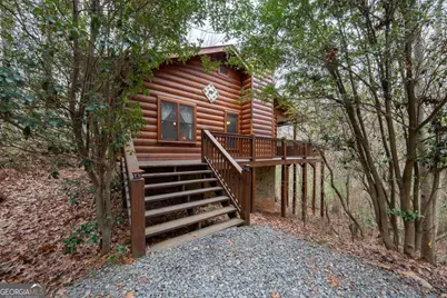 1165 Little Bushy Head Road #220, Blue Ridge, GA 30513 - Photo 1