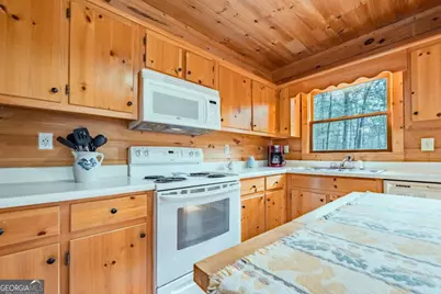 1165 Little Bushy Head Road #220, Blue Ridge, GA 30513 - Photo 7