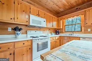 1165 Little Bushy Head Rd, Blue Ridge, GA 30513 - Photo 7