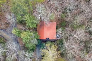 1165 Little Bushy Head Rd, Blue Ridge, GA 30513 - Photo 23