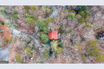 1165 Little Bushy Head Road #220, Blue Ridge, GA 30513 - Photo 21