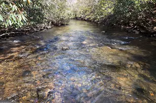 150 Donna Lee Ln, Mineral Bluff, GA 30559 - Photo 5