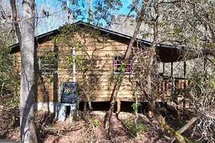 150 Donna Lee Ln, Mineral Bluff, GA 30559 - Photo 17