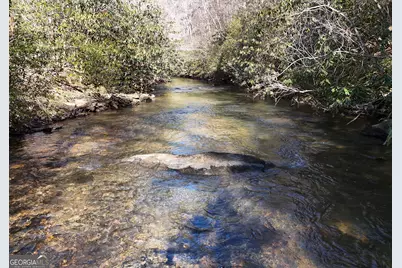 150 Donna Lee Lane, Mineral Bluff, GA 30559 - Photo 3