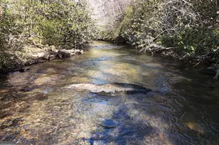 150 Donna Lee Ln, Mineral Bluff, GA 30559 - Photo 3