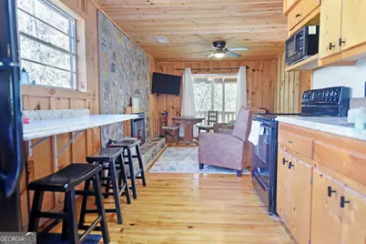 150 Donna Lee Lane, Mineral Bluff, GA 30559 - Photo 21