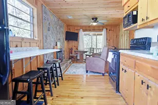 150 Donna Lee Ln, Mineral Bluff, GA 30559 - Photo 21