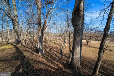 227 Bates Road SE, Cartersville, GA 30120 - Photo 53