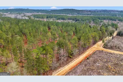 Truslow East New Hopewell Church Road, Jeffersonville, GA 31044 - Photo 21