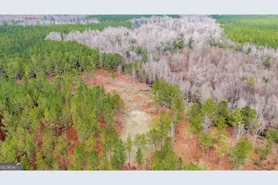 Truslow East New Hopewell Church Road, Jeffersonville, GA 31044 - Photo 25