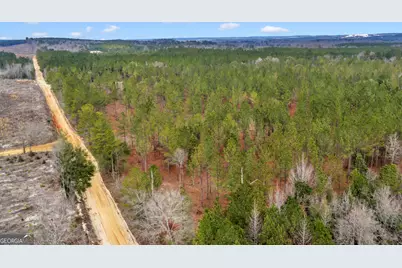 Truslow East New Hopewell Church Road, Jeffersonville, GA 31044 - Photo 19