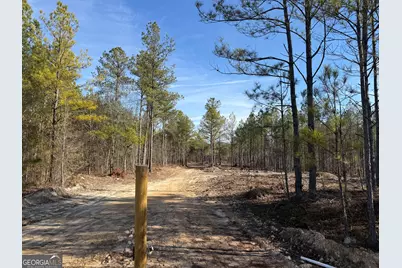 Truslow East New Hopewell Church Road, Jeffersonville, GA 31044 - Photo 5