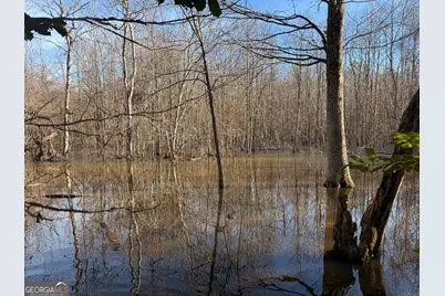 Truslow East New Hopewell Church Road, Jeffersonville, GA 31044 - Photo 13
