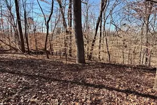 0 Arrowhead Ct, Lavonia, GA 30553 - Photo 1