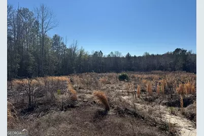 Truslow Central Durham Mill Road, Jeffersonville, GA 31044 - Photo 25