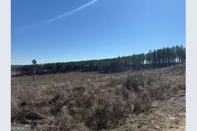 Truslow Central Durham Mill Road, Jeffersonville, GA 31044 - Photo 33