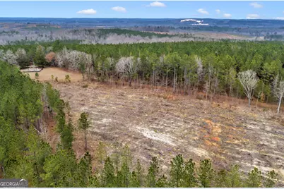 Truslow Central Durham Mill Road, Jeffersonville, GA 31044 - Photo 13