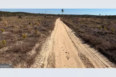 Truslow Central Durham Mill Road, Jeffersonville, GA 31044 - Photo 49